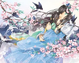 两个人一上一下打扑克